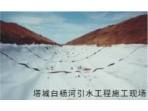 塔城白楊河引水工程施工現(xiàn)場(chǎng)